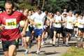 Moray Marathon attacts record field