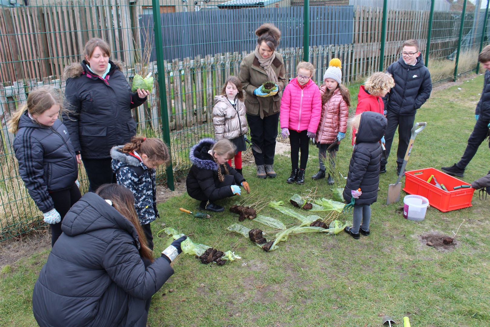 Pupils at St Gerardine's Primary School in Lossiemouth have been planting trees to mark the Queen's Platinum Jubilee.