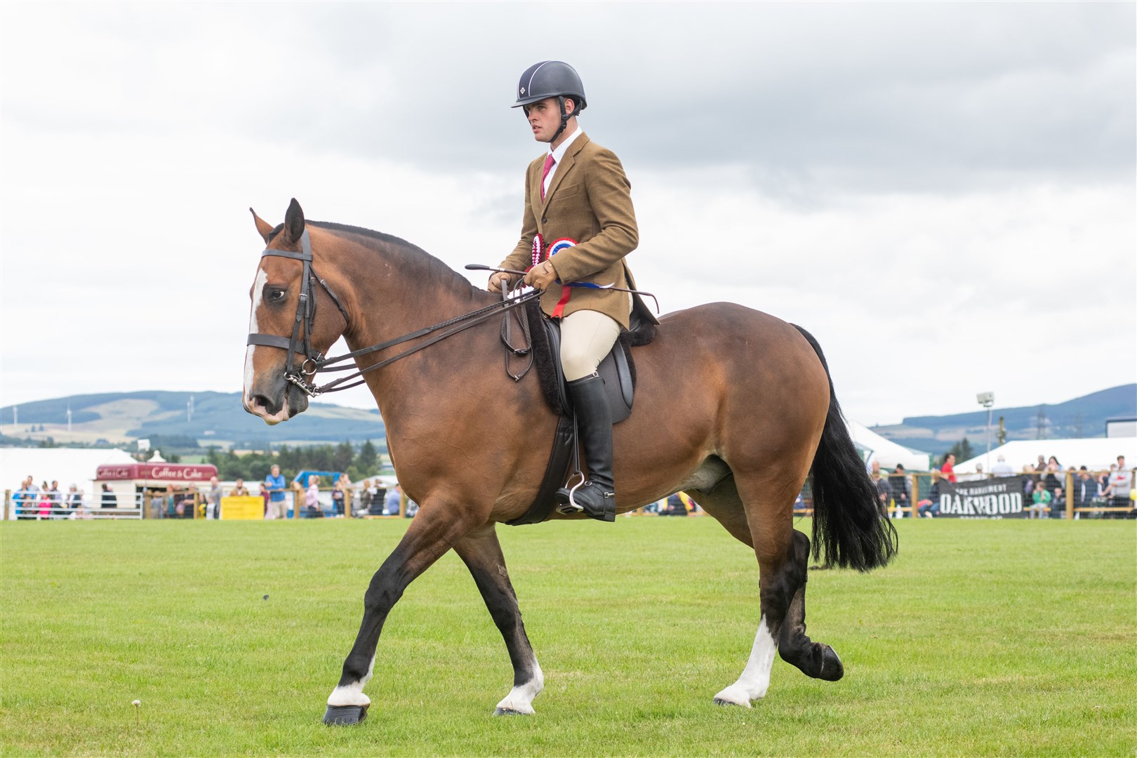 Robert Auchnie leads supreme champion Cob and Tonic around the ring. Picture: Daniel Forsyth