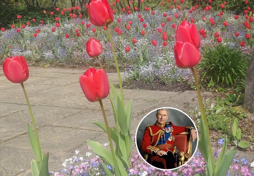 The floral display at Elgin Biblical Garden is a nod to the Coronation of King Charles III.