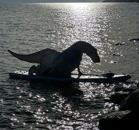 Nessie having a go at paddle-boarding