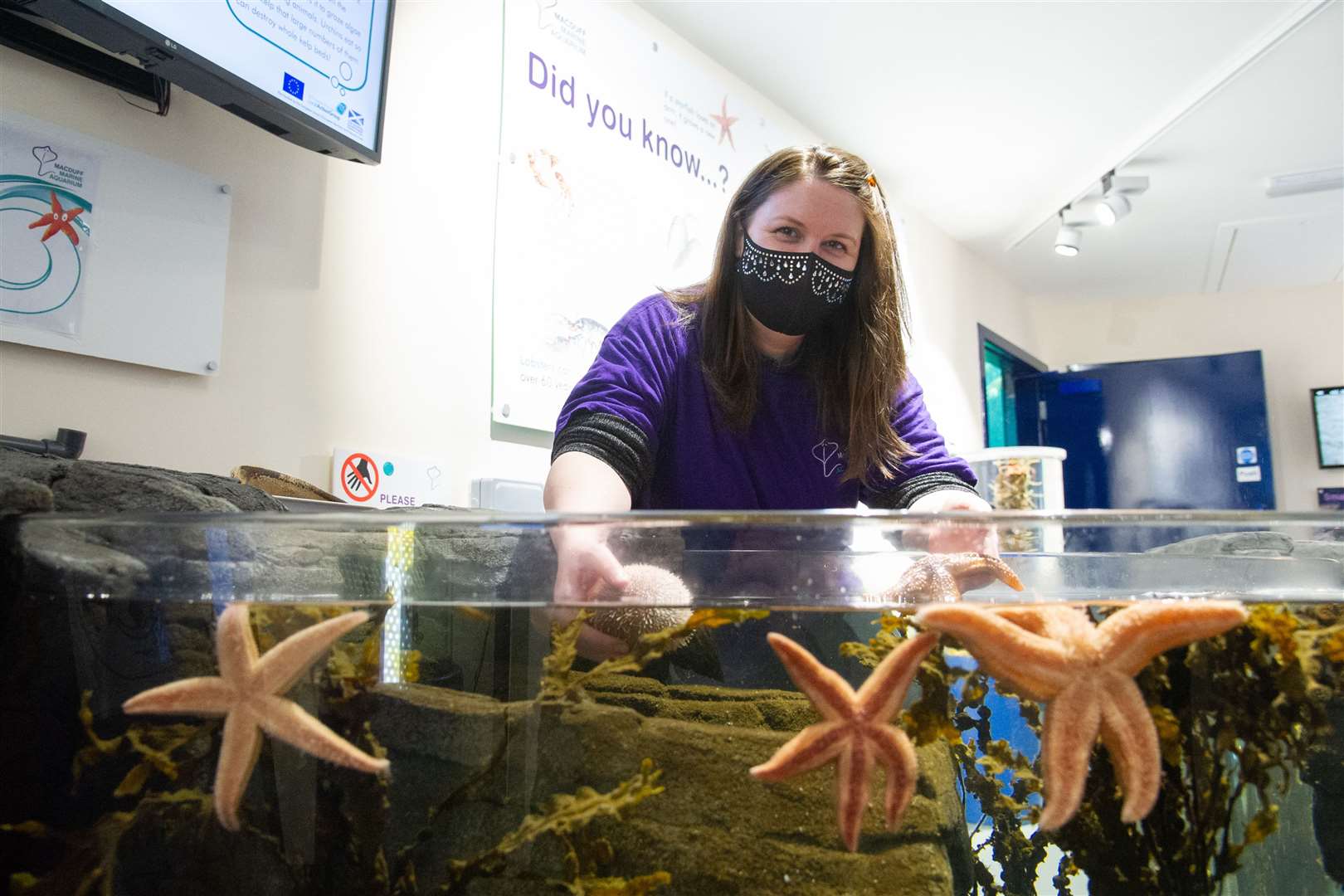 Louise Tait...The Macduff Marine Aquarium has reopened following the relaxation of Scottish Government restrictions in Aberdeenshire...Picture: Daniel Forsyth..