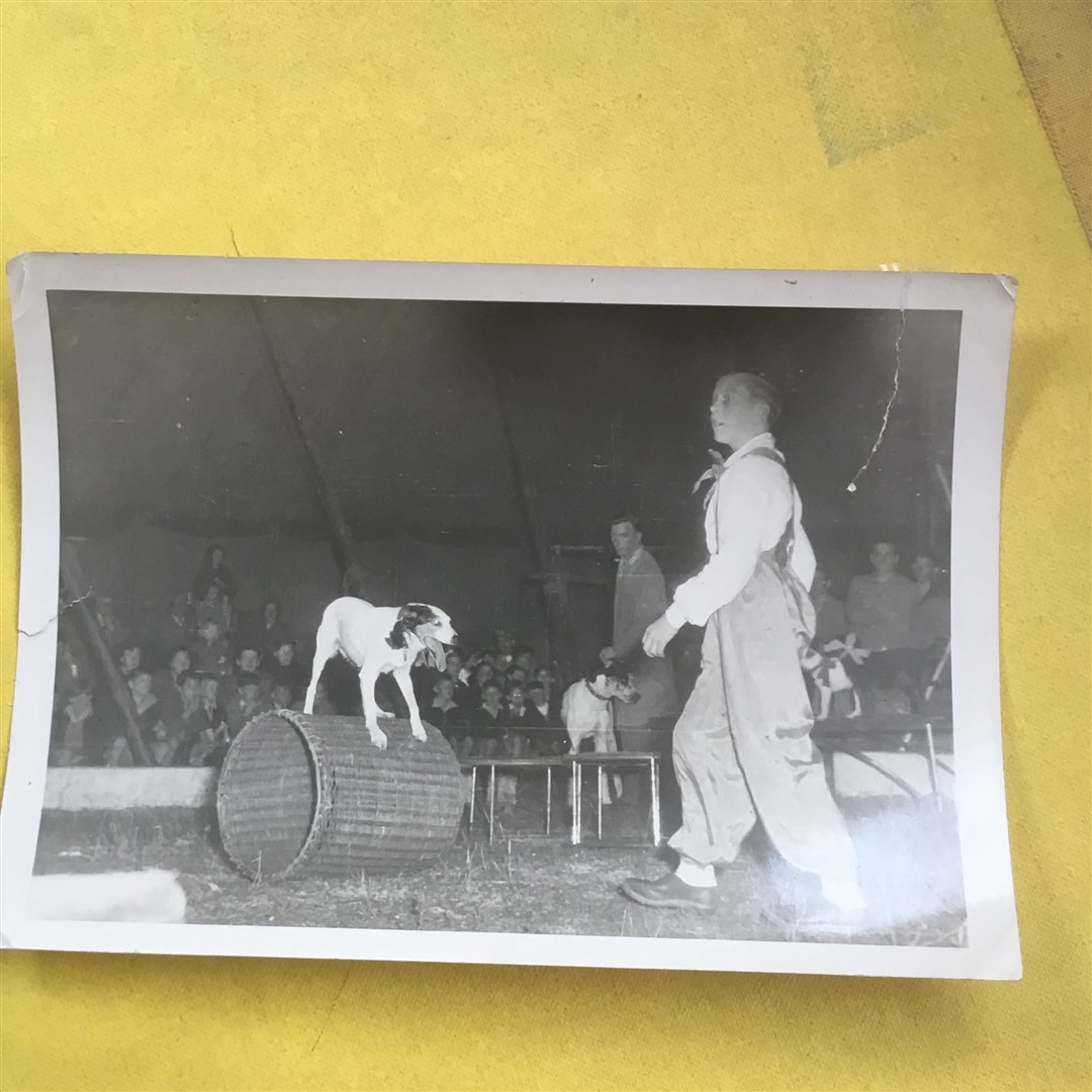 Normans father's circus, appearing at Lossie Green, Elgin, in 1949. The Van Dyke's Tricky Tail Waggers was Norman's first dog act 70 years ago.