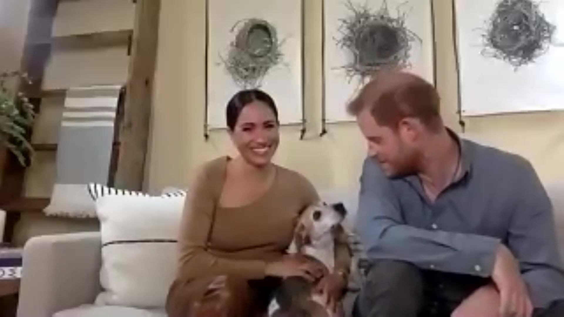 During the interview the couple were joined by their pet Beagle Guy (Evening Standard/PA)