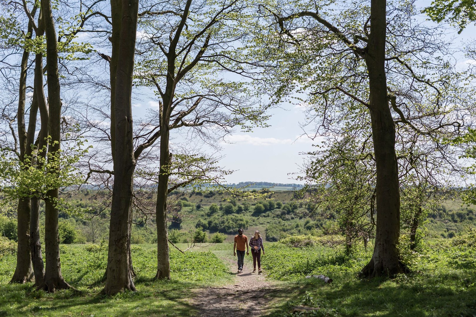 Trees at St Catherine’s Hill in Winchester in the South Downs National Park (South Downs National Park Authority/PA)