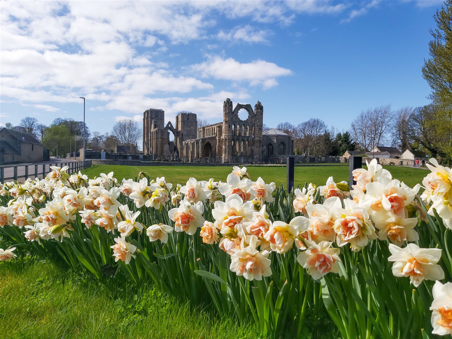 Elgin Cathedral on a sunny April day. Picture: Becky Saunderson