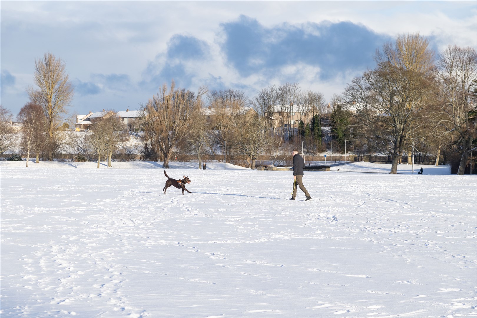 A Labrador and his owner enjoy the snow at Cooper Park. Picture: Beth Taylor