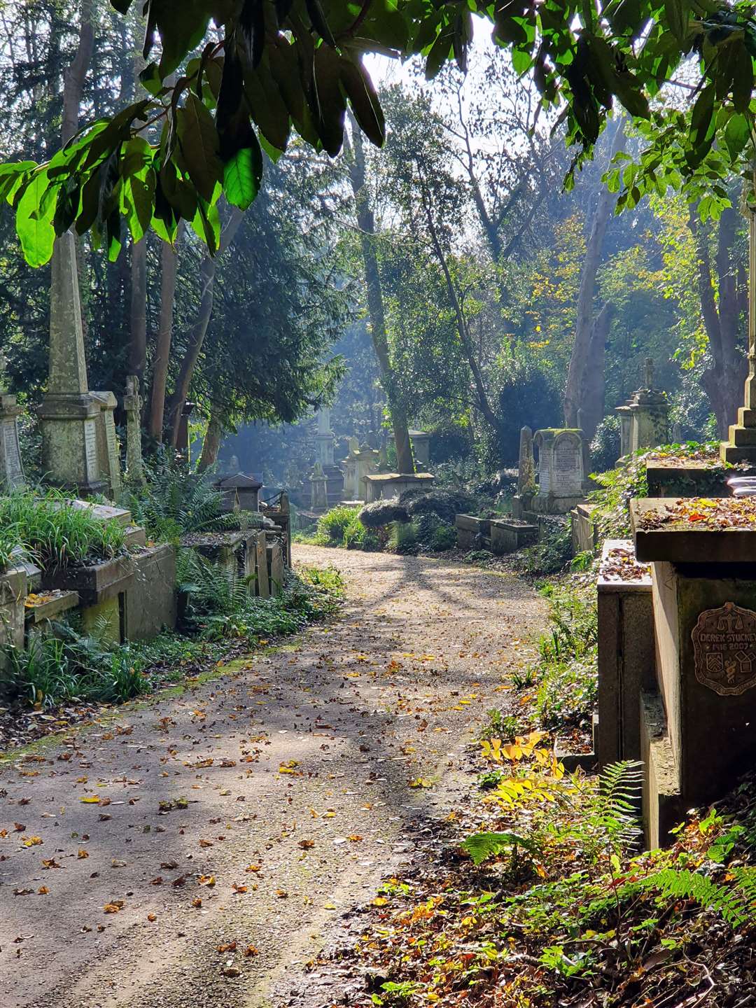 The competitions aim to give Highgate Cemetery a sustainable future (Friends of Highgate Cemetery Trust/PA)