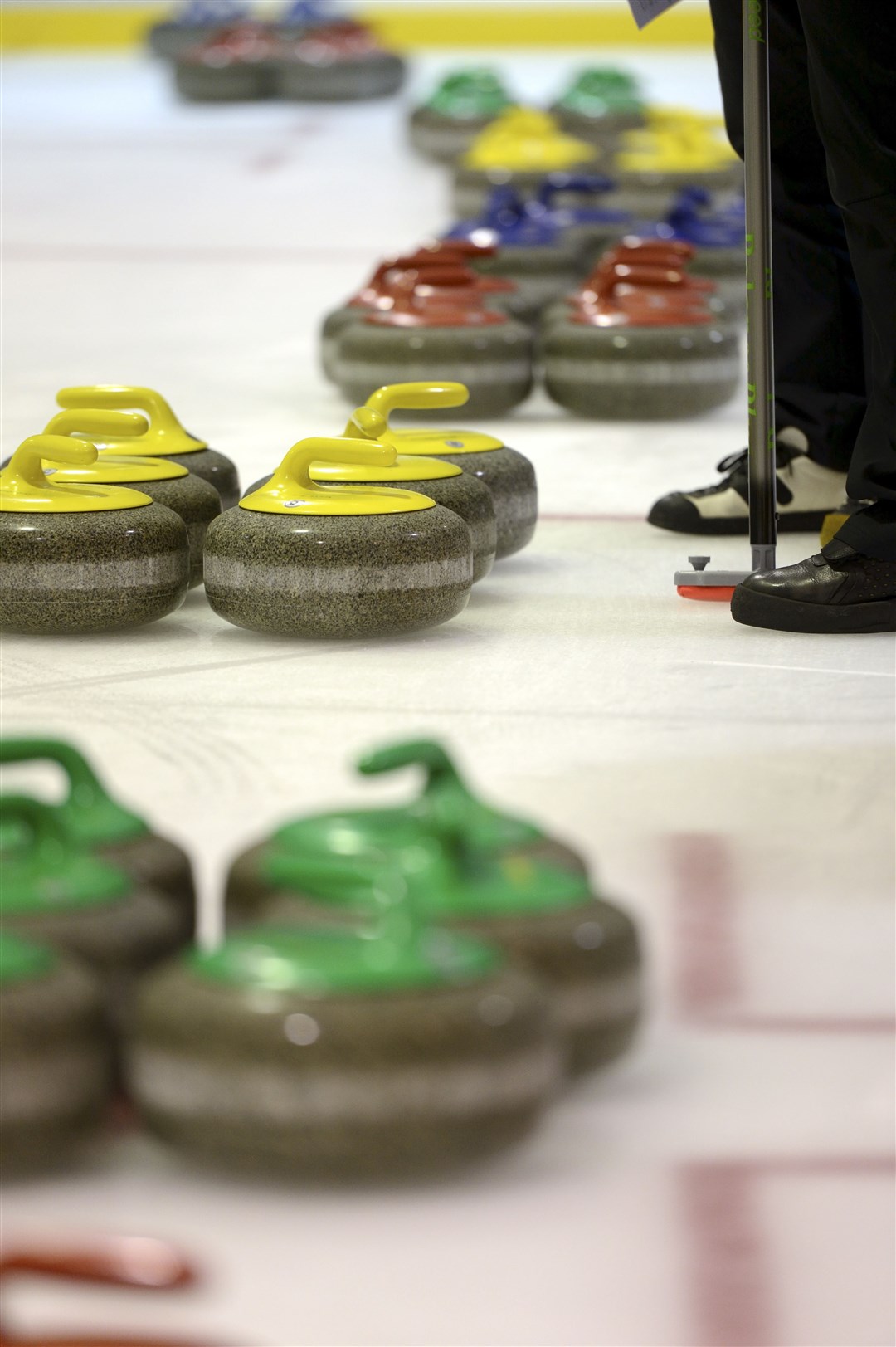 Moray curling action.