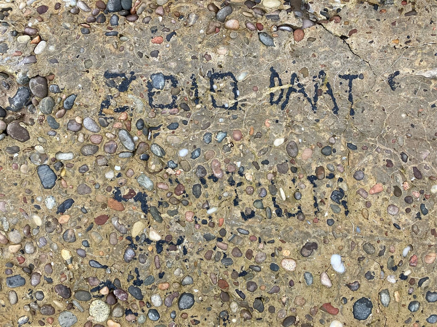 Graffiti on a Roseisle Beach tank trap appears to read "Zoid Daat"...Picture: Peter Adamson