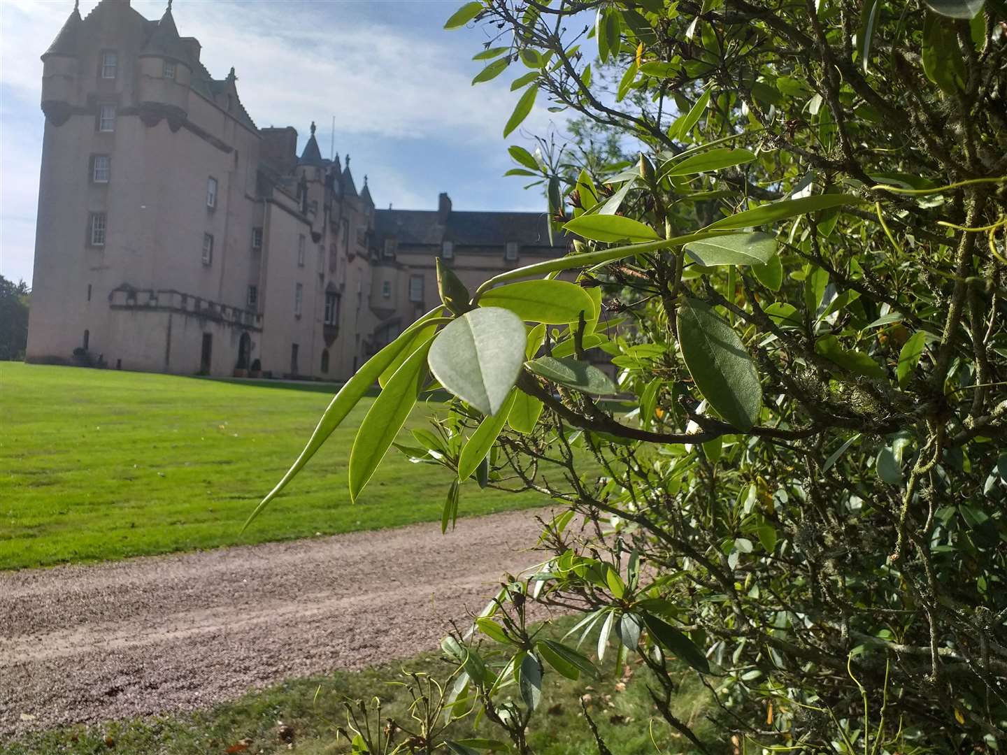 Fyvie Castle is set to be one of the first National Trust properties in the north-east to benefit from Project Wipeout.