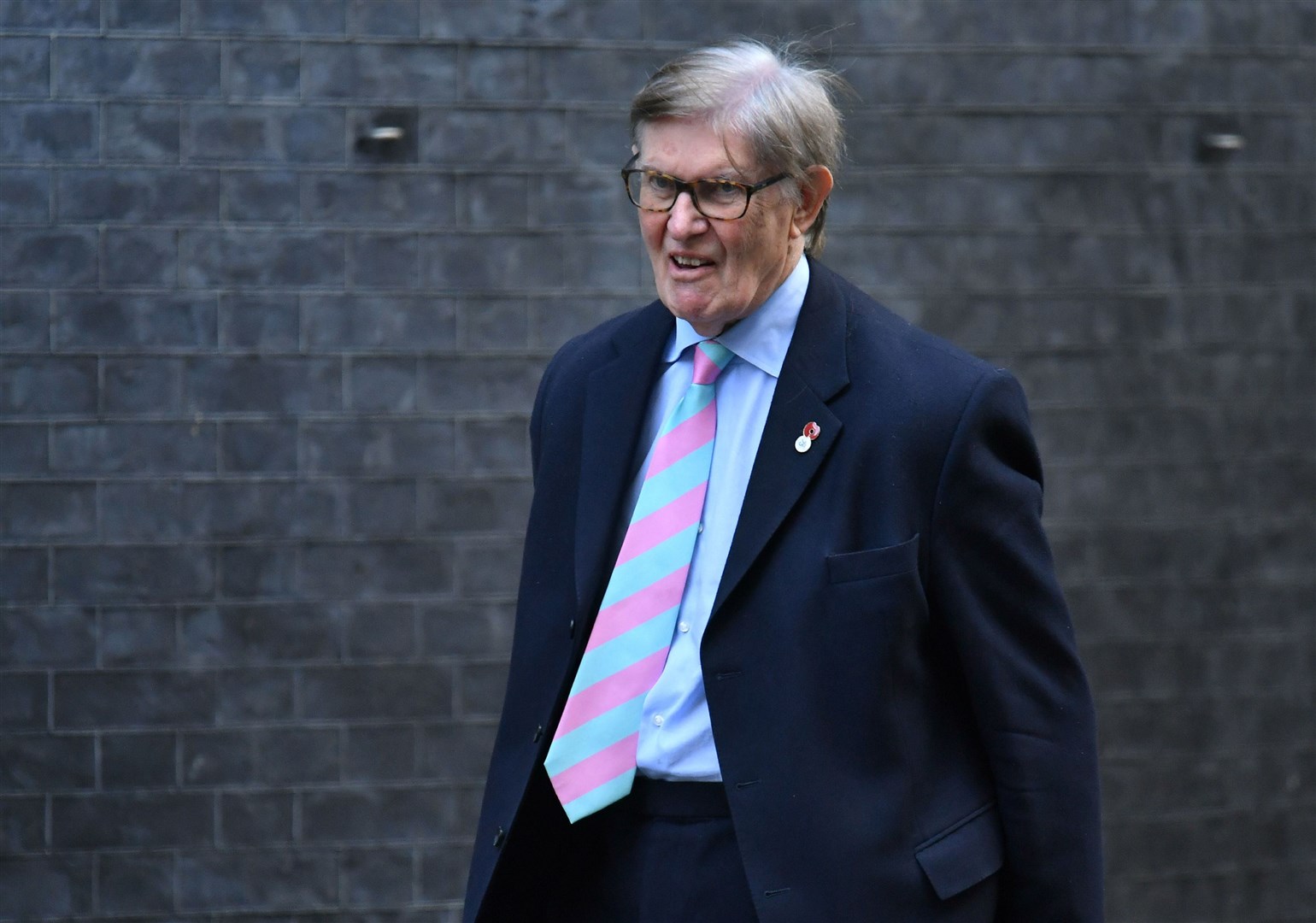 Sir Bill Cash has led the European Research Group’s ‘star chamber’ on the Windsor Framework (Dominic Lipinski/PA)