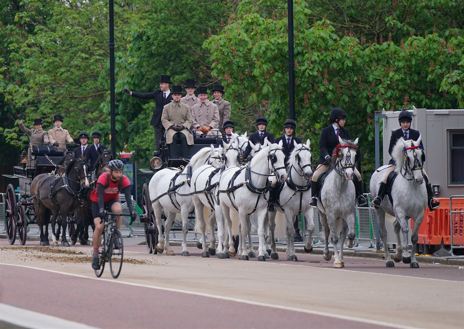 Six of the eight Windsor Grey horses which will pull the Gold State Coach take part in a coronation rehearsal in Hyde Park (Yui Mok/PA)