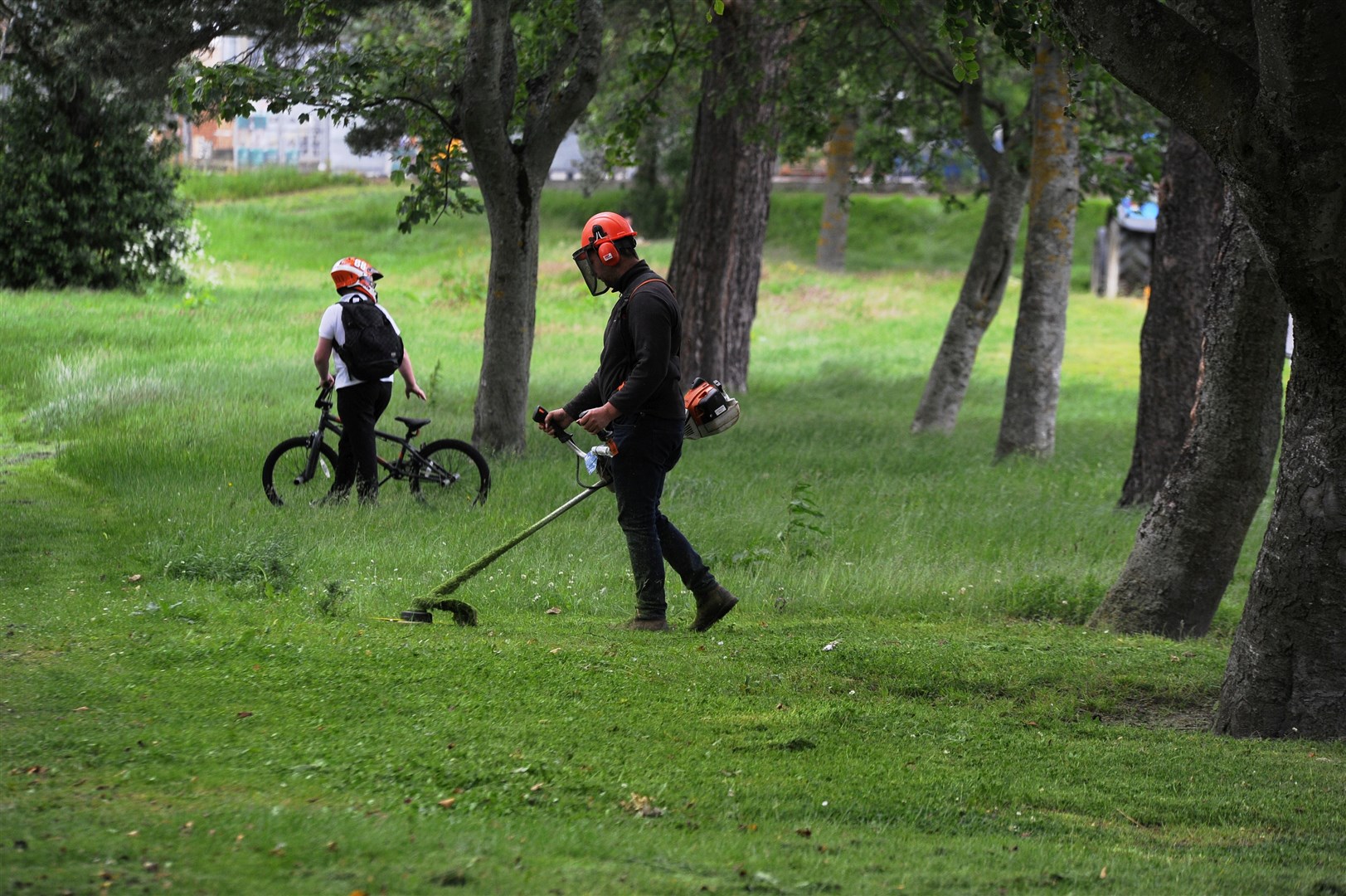 Volunteers cutting the grass at Doocot Park in New Elgin earlier this summer. Picture: Eric Cormack. Image No.044219.