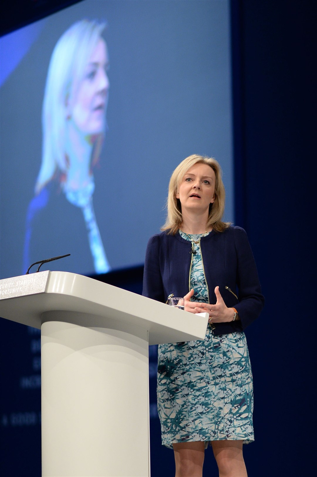 Then-environment secretary Liz Truss addressing the Conservative Party conference in Manchester (Stefan Rousseau/PA)