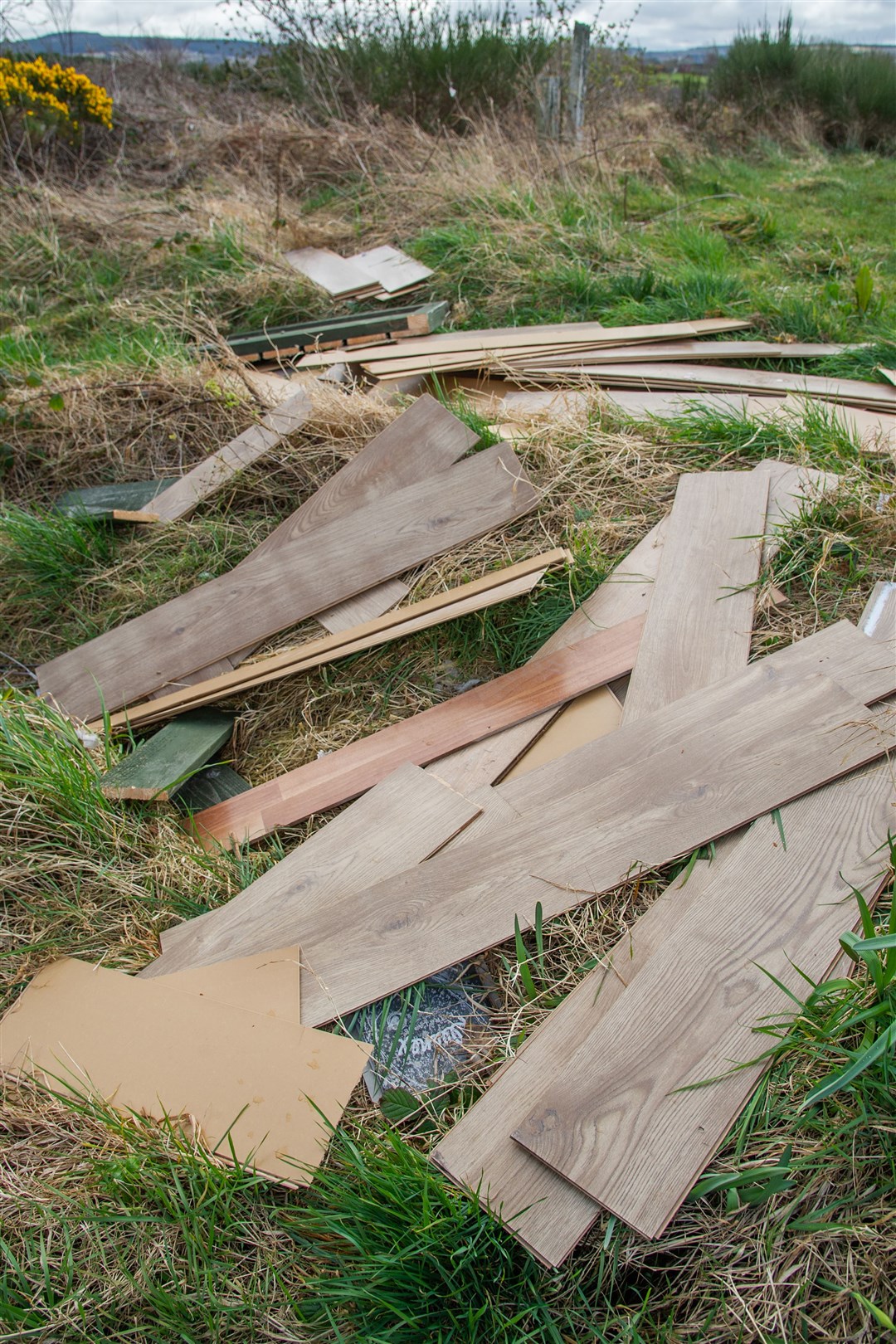 A pallet load of laminate flooring has been fly tipped at the back of the Gollachy Recycling Centre, Buckie...Picture: Daniel Forsyth..