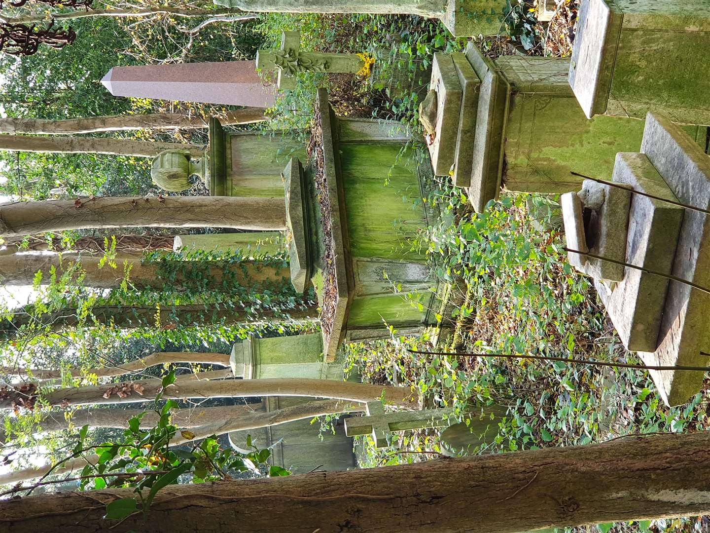 Highgate Cemetery’s historic monuments are at risk of decay and overgrown trees (Friends of Highgate Cemetery Trust/PA)