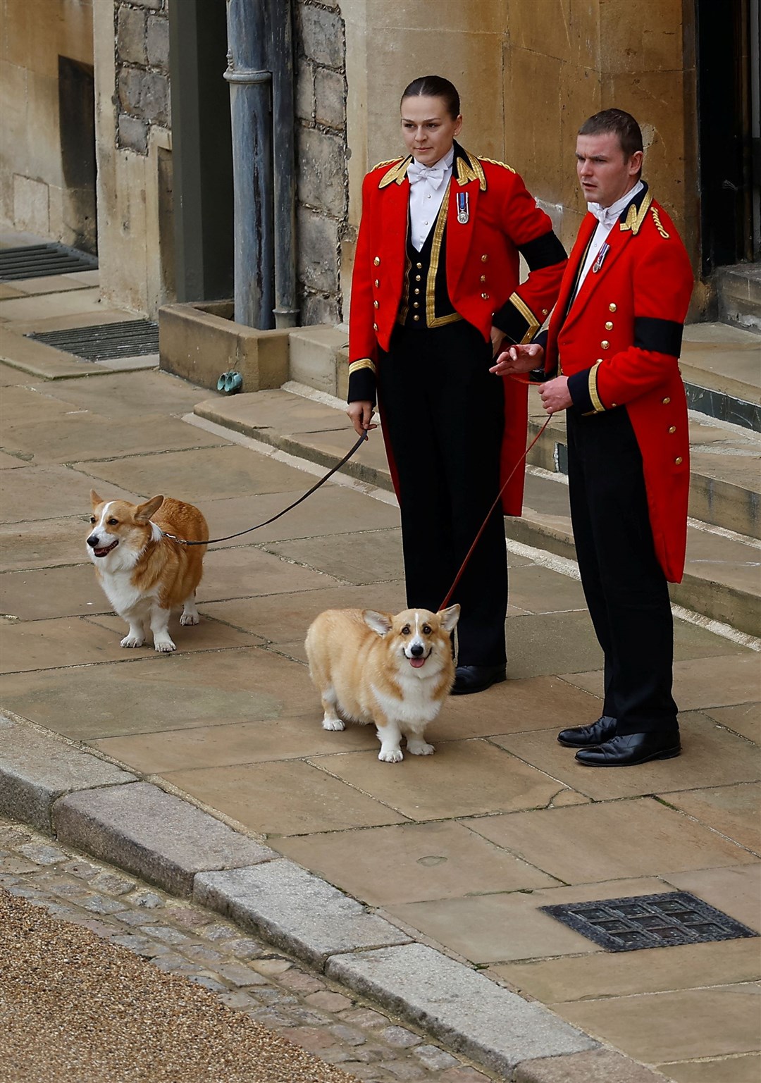 The Queen’s corgis, Muick and Sandy, welcomed her coffin to Windsor Castle (Peter Nicholls/PA)