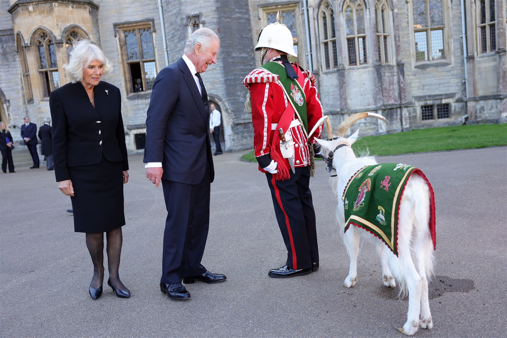 The King and the Queen Consort meet Sheinkin IV, goat mascot for the Royal Welsh Third Battalion at Cardiff Castle (Chris Jackson/PA)