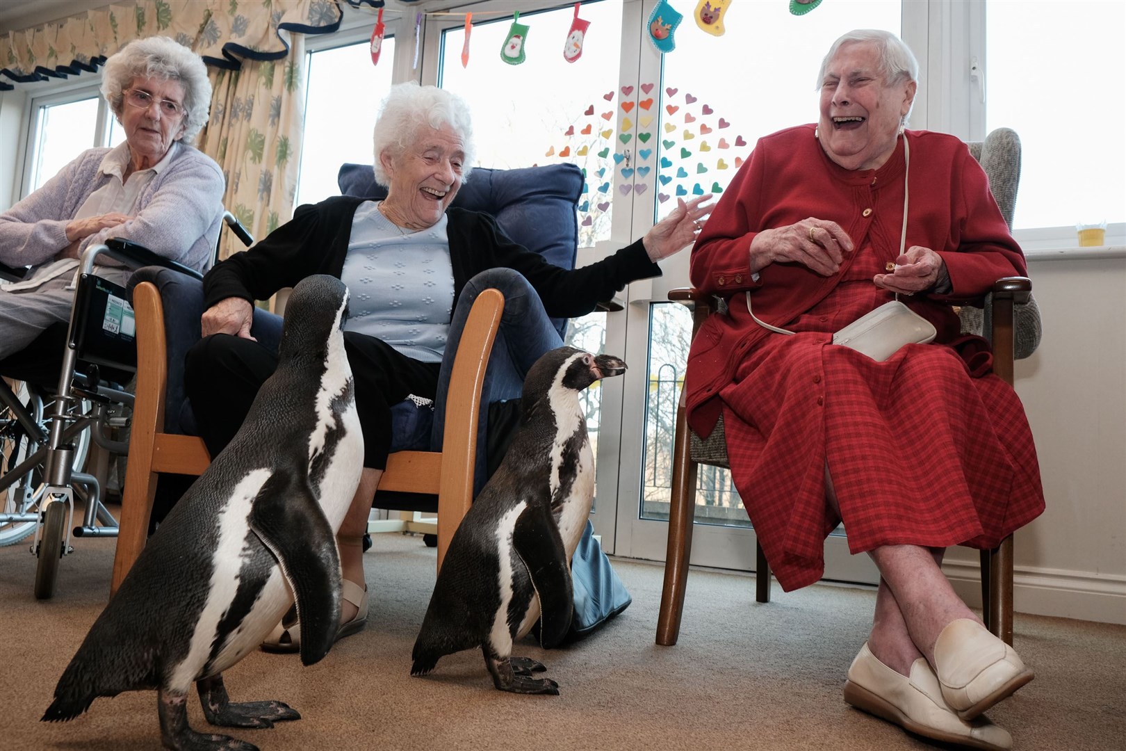 Penguins Charlie and Pringe at Spencer Court care home (Des Dubber/Orders of Saint John Care Trust/PA)