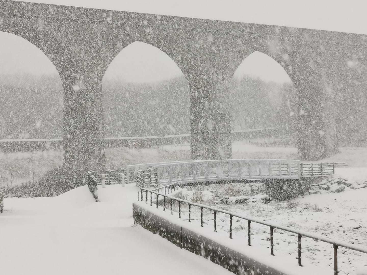 Cullen Viaduct pictured through snowfall by Angela Pritchard.