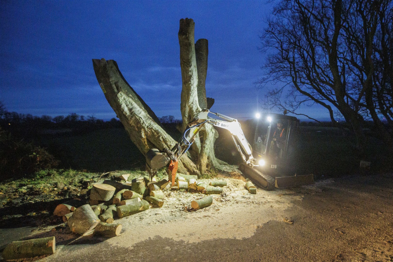 A number of the trees were removed due to safety concerns earlier this year (Liam McBurney/PA)