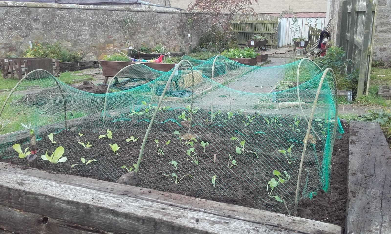 The community garden is taking shape in New Elgin.