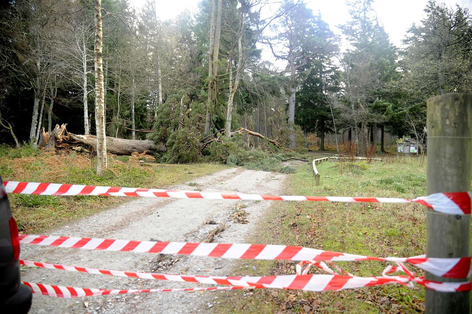 Winding walks car park was shut with many trees blown over .Picture: Becky Saunderson