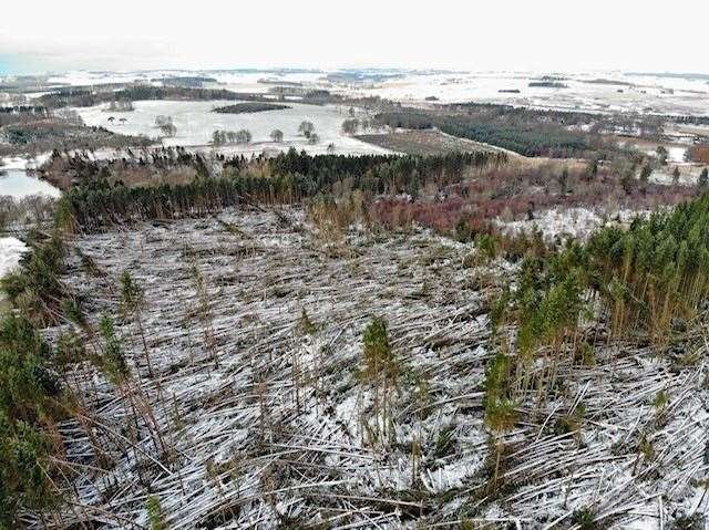 An aerial image of the damage across Haddo Country Park. Picture: Blair Nicholls