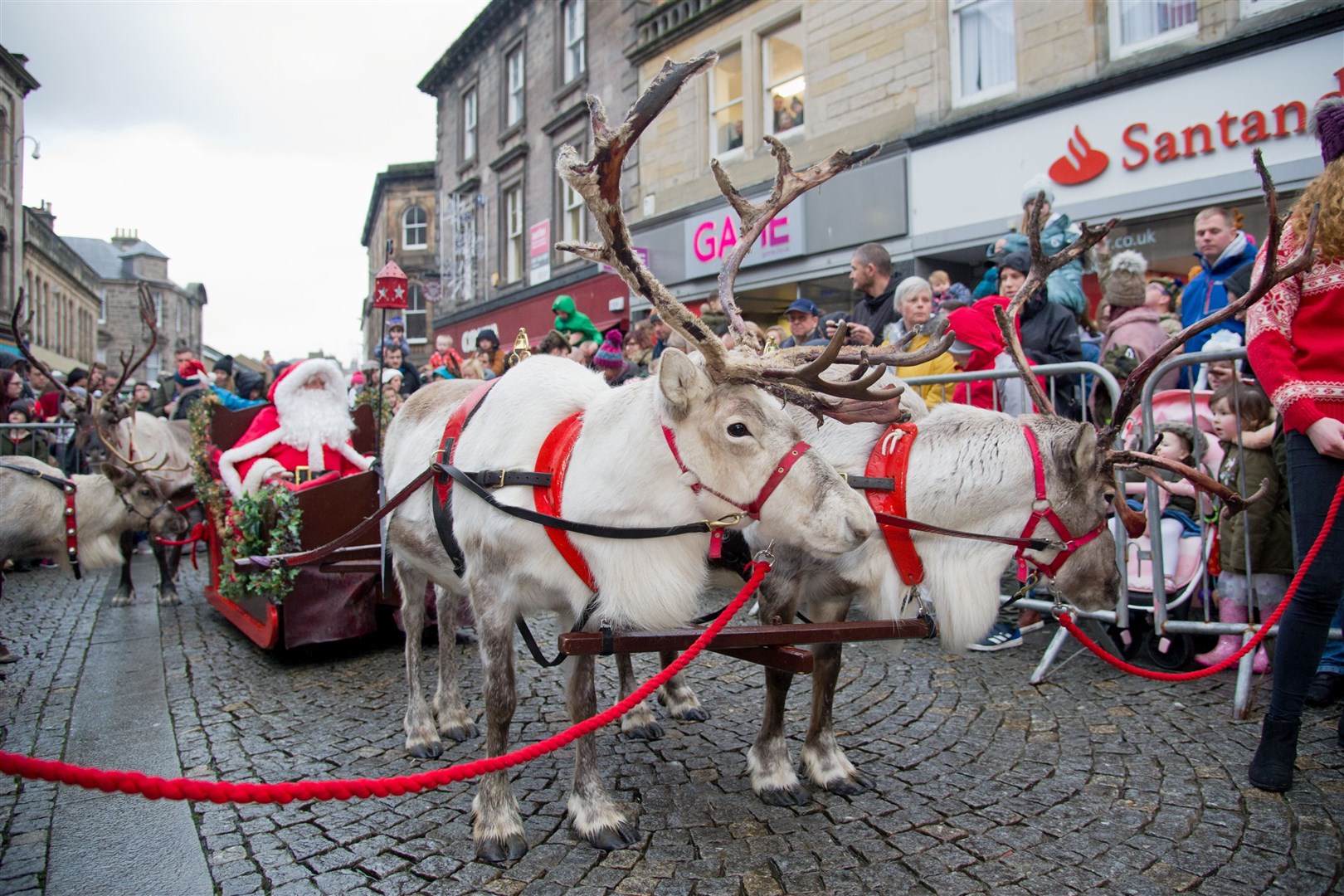 Santa and his reindeer arrive to a large crowd on the high street in 2018.
