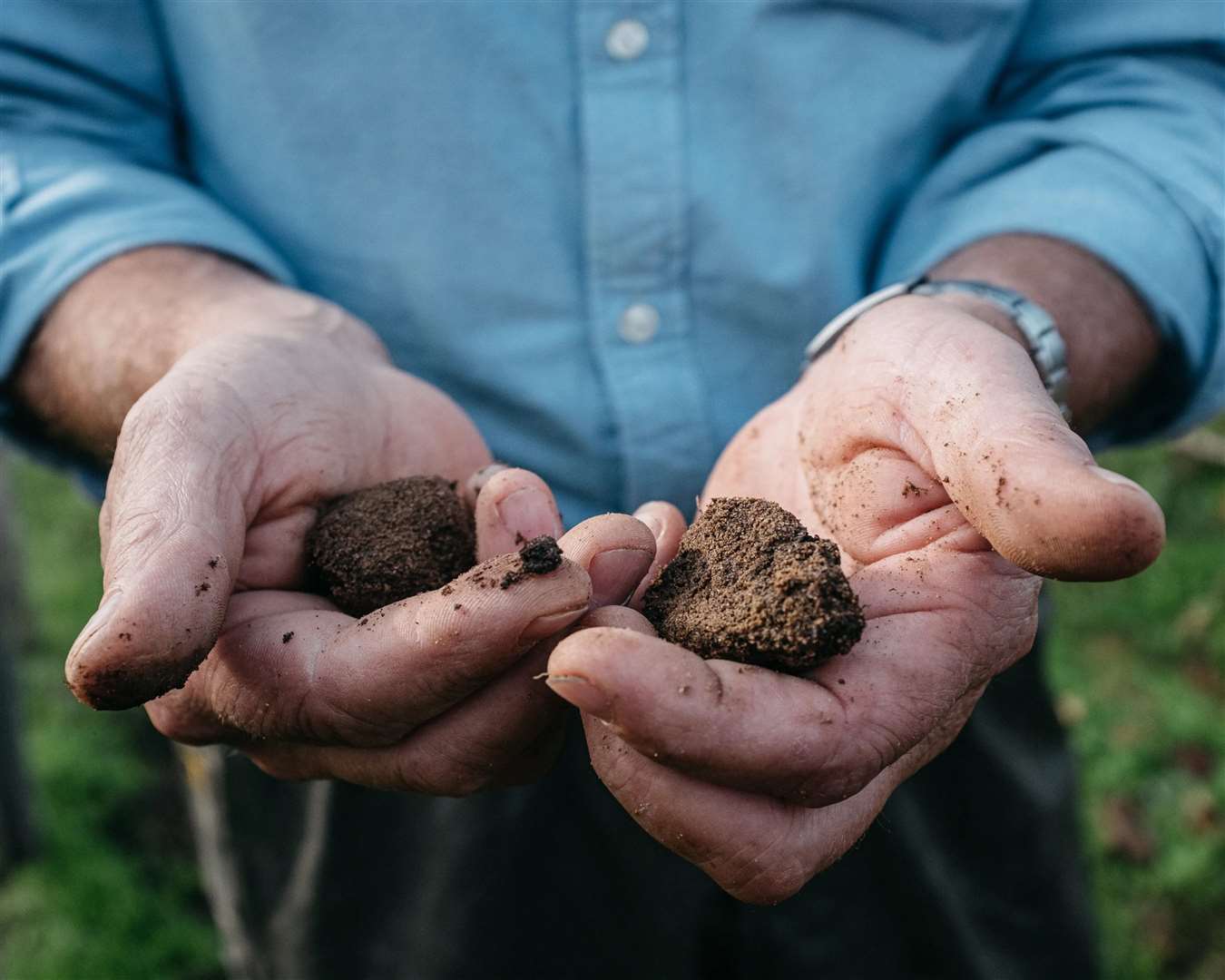 Utilising rhizosphere biostimulants, Gaiago are committed to revitalising agricultural soils