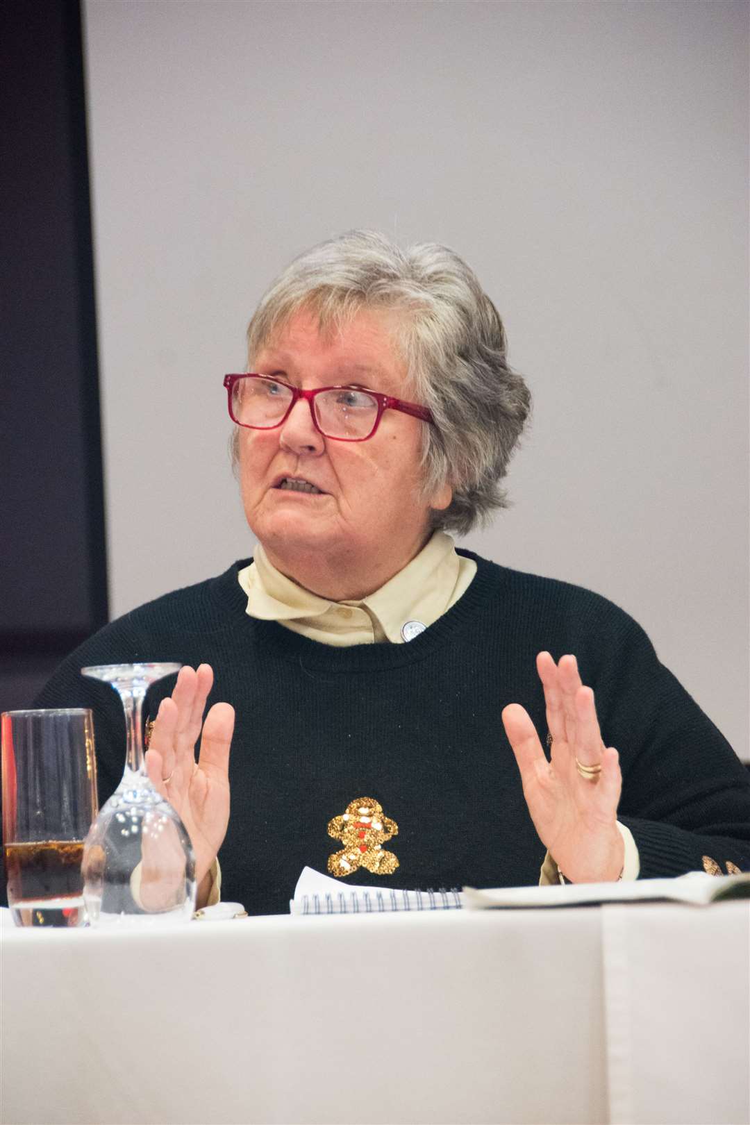 Anne Speake, of Enable, speaks during a meeting at Elgin's Laichmoray Hotel over a planned night-time care pilot scheme. Picture: Becky Saunderson.