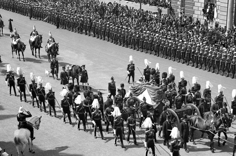 Caesar in King Edward VII’s funeral procession, along with the monarch’s riderless horse (PA)