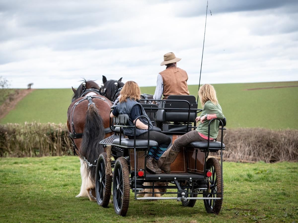 You can ride on the carriage in return for a £30 donation.