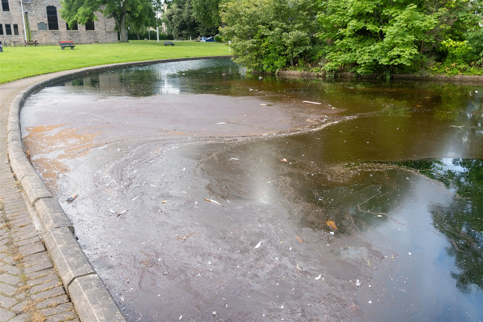 Moray Council have issued warnings for blue-green algal bloom around Cooper Park pond in Elgin...Picture: Beth Taylor.