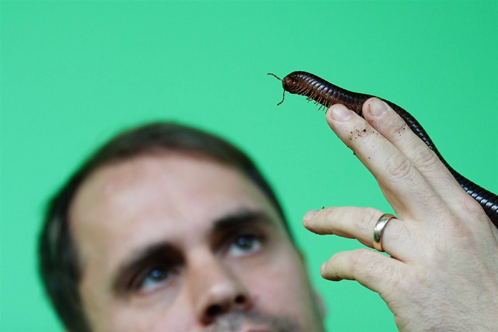 Zoo keeper Sam counts a giant millipede (Aaron Chown/PA)