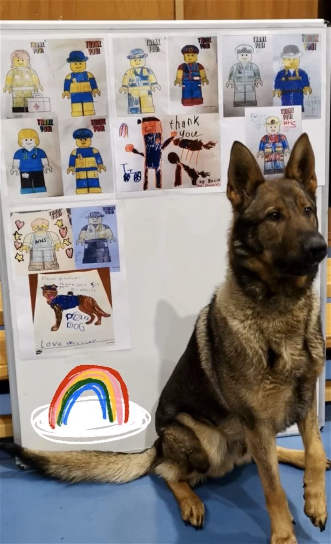 Police dog PD Yogi with some of the artworks sent to Police Scotland's north-east division.