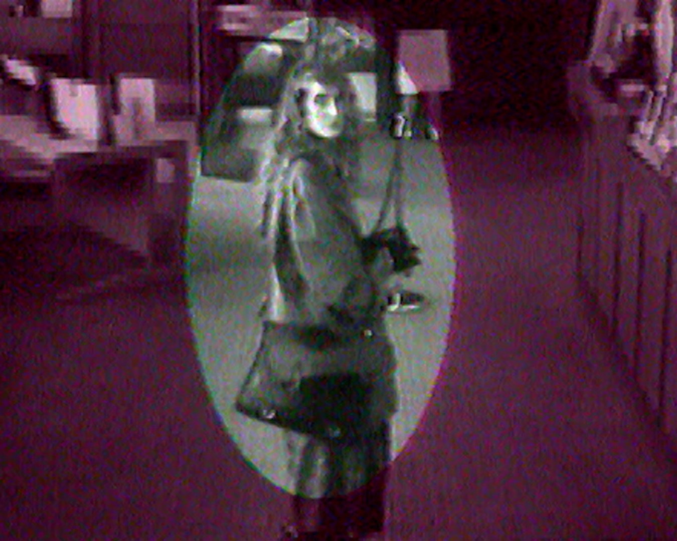 CCTV footage of Annie McCarrick (An Garda Siochana/PA)