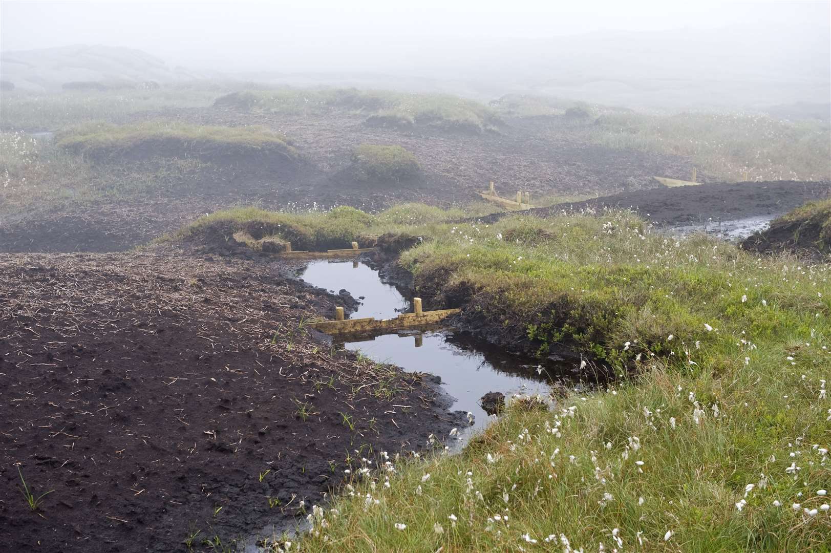 Efforts are being made to restore peatlands, such as at High Peak in Derbyshire (Leo Mason/National Trust/PA)