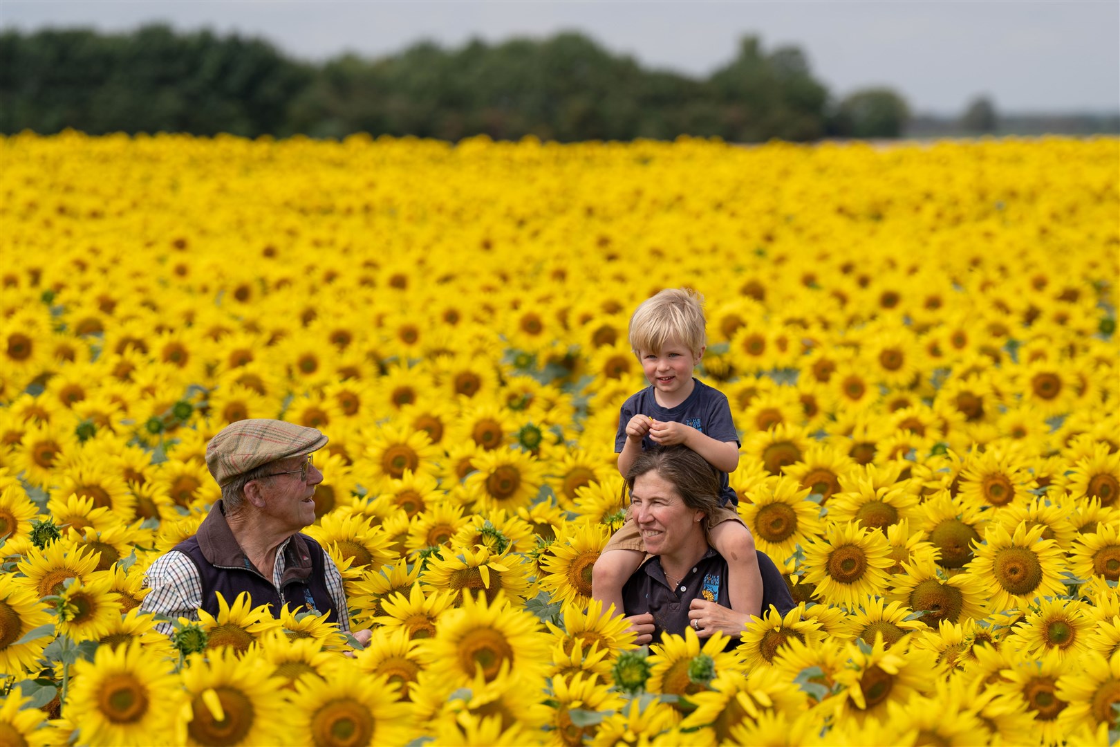 Nicholas Watts, left, with his daughter Lucy Taylor and grandson Ralph, three, amongst their crop of sunflowers at Vine House Farm in Deeping Saint Nicholas, near Spalding, Lincolnshire in July (Joe Giddens/PA)