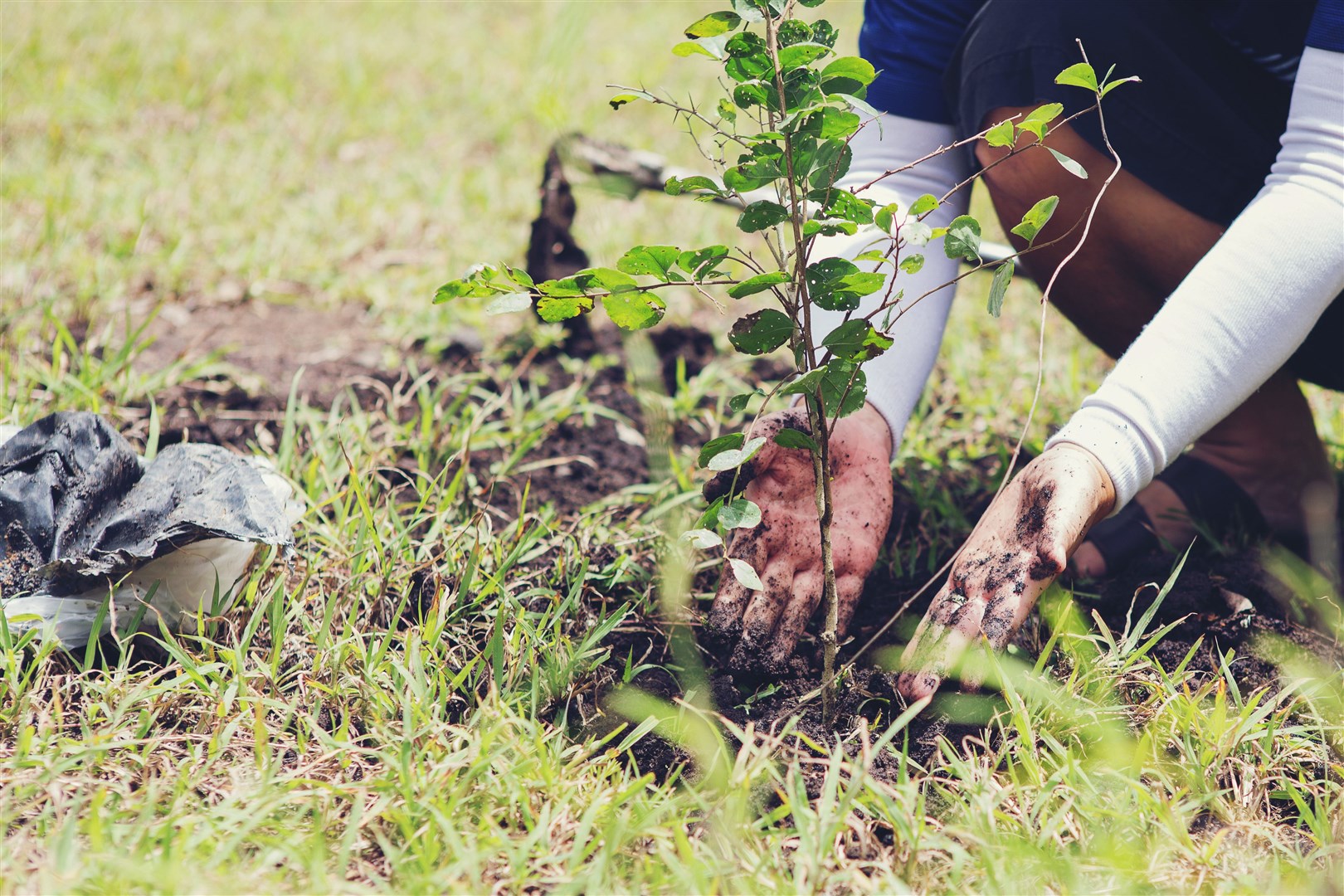 Projects which make environmental improvements to local green spaces could qualify for funding from Volunteering Matters Action Earth.