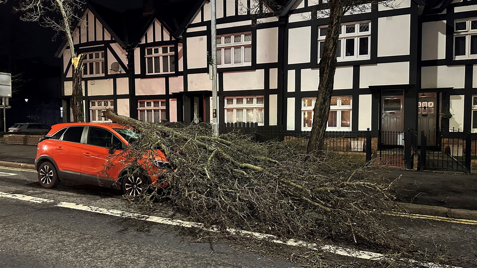 Trees were damaged in Storm Isha with more bad weather on the way (Liam McBurney/PA)