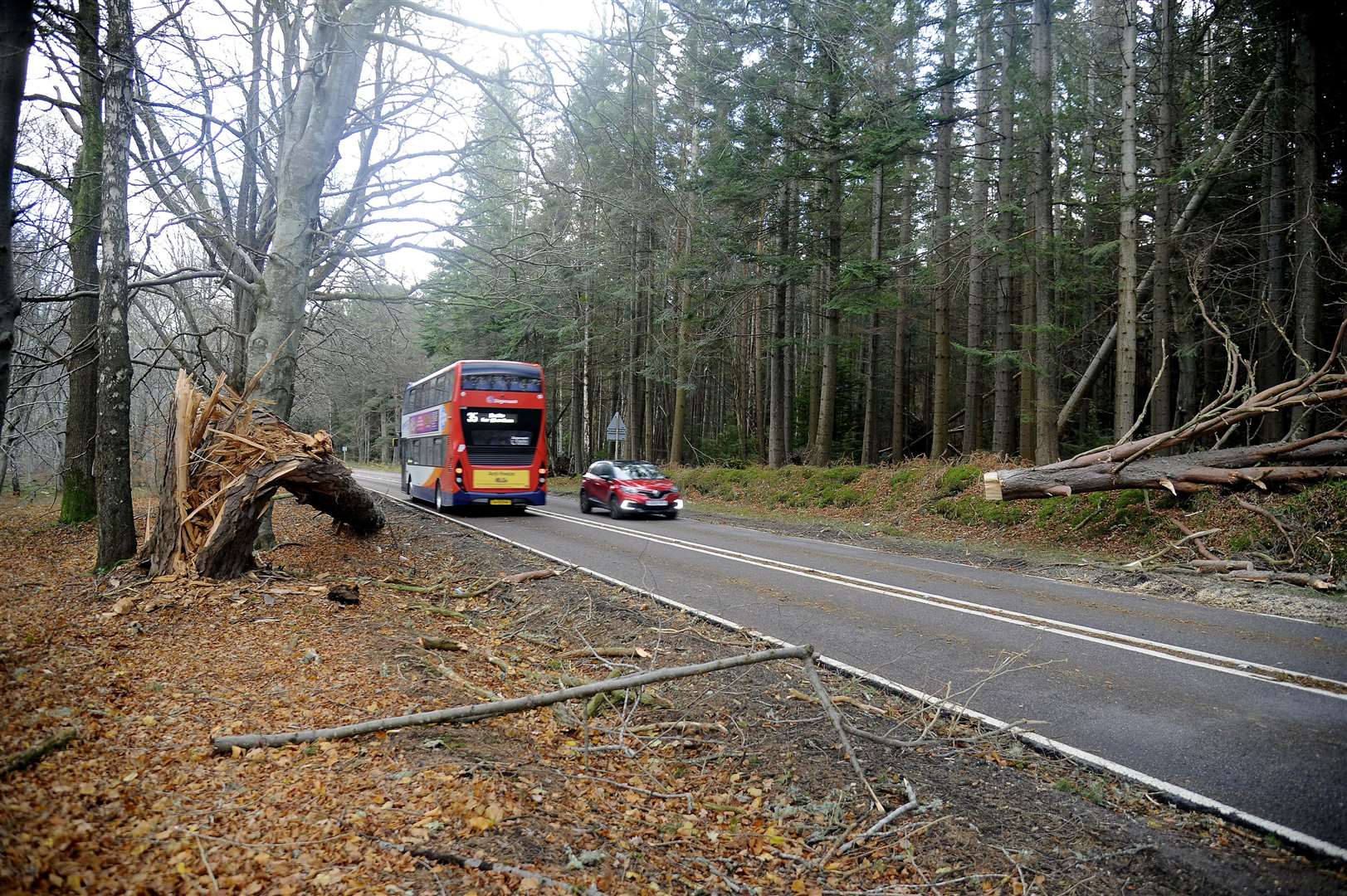 Trees fell across the A98 which closed the road overnight Friday and into Saturday morning. The road was reopened on Saturday morning.Picture: Becky Saunderson