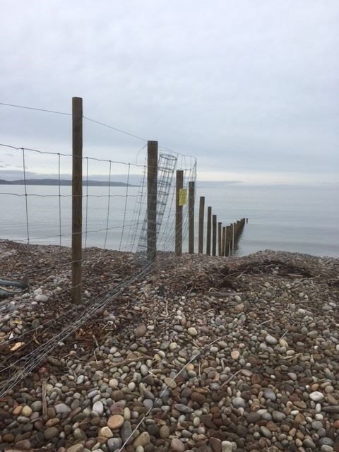 The fence stretches into the sea.