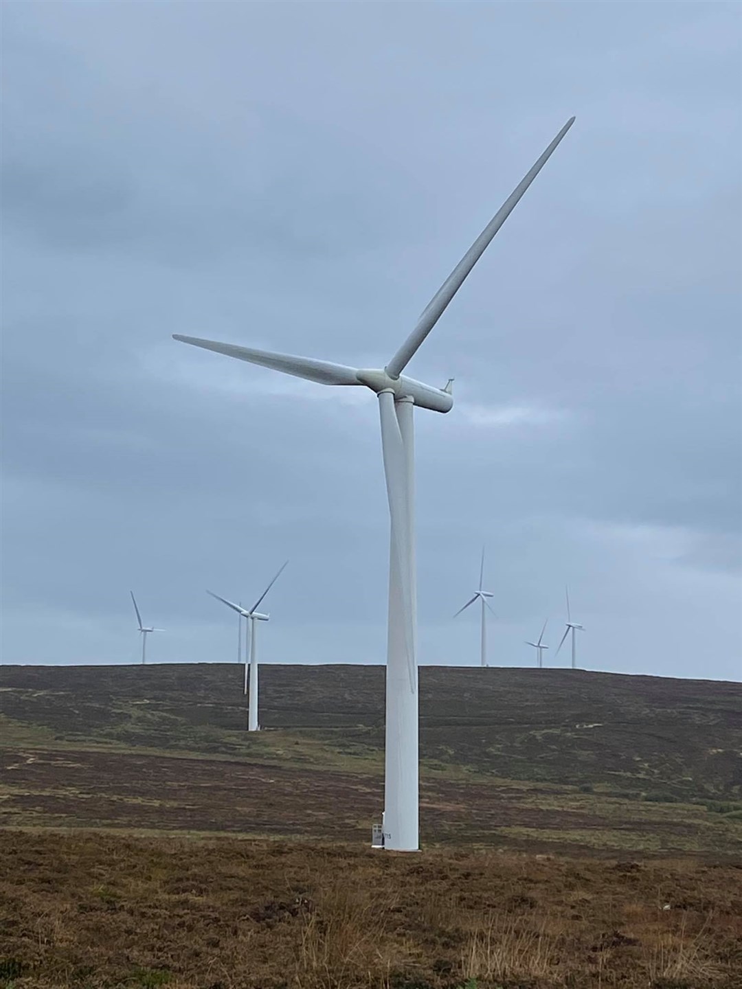 The 21-turbine Hill of Towie Wind Farm site near Drummuir.