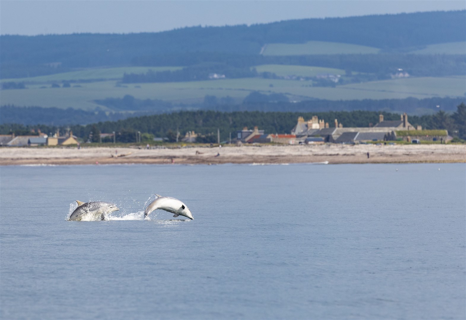 THe WDC Scottish Dolphin Centre has been awarded a perfect score in a tourism survey. Picture: Charlie Phillips
