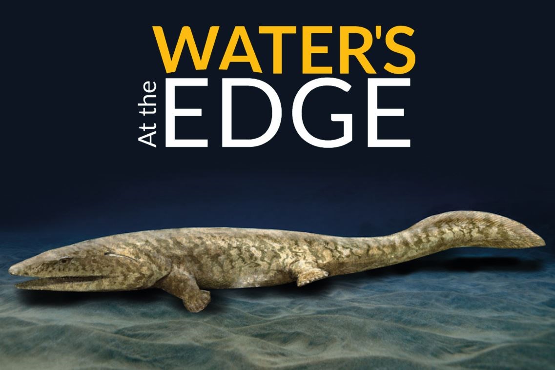 At the Water’s Edge opens at Elgin Museum on March 28.