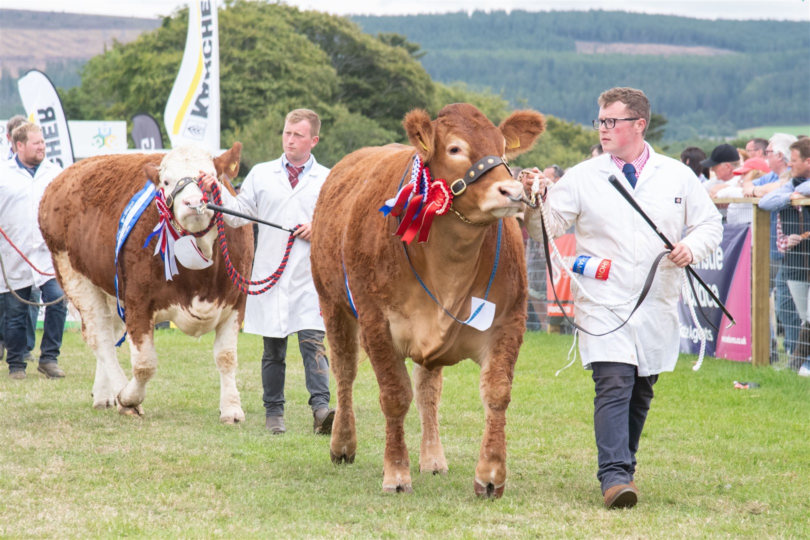 Show supreme champion Burnbank Ruby Tuesday with handler John Graham (right)...Keith Show 2022 Monday...Picture: Daniel Forsyth..