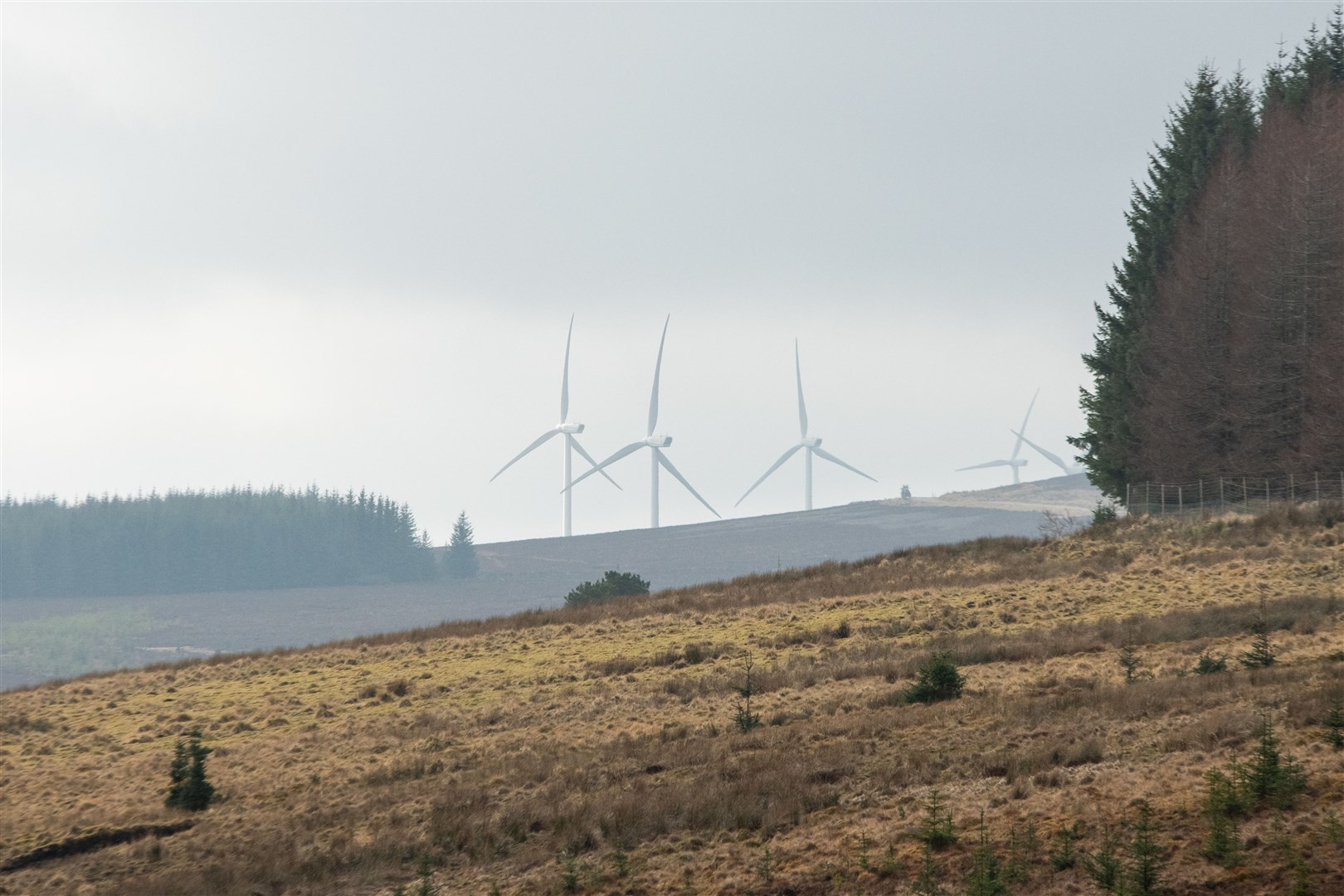The Cabrach is already home to 77 wind turbines. Picture: Daniel Forsyth