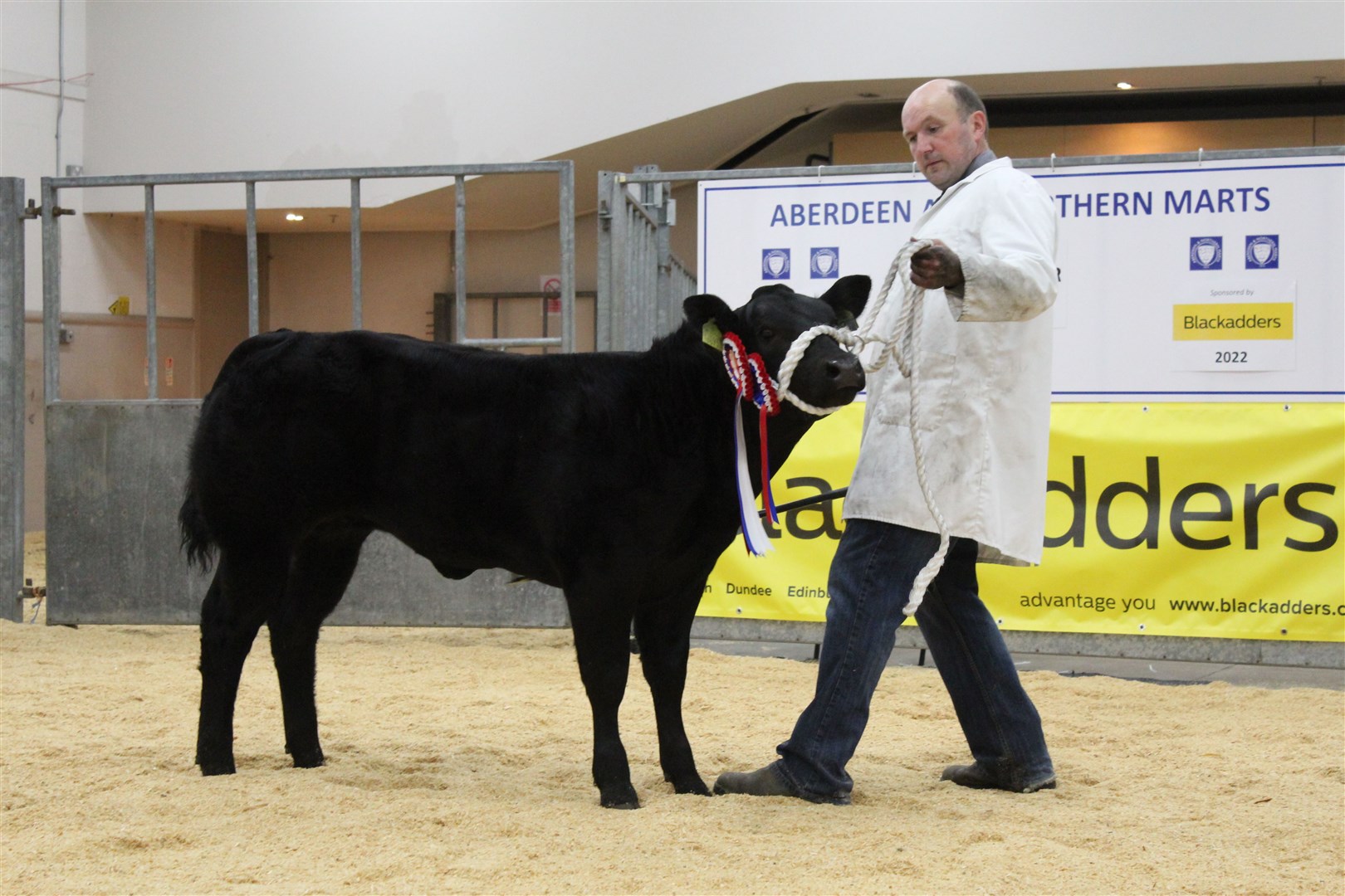 2022 champion Balfour Baillie with his overall champion Limousin cross heifer calf.